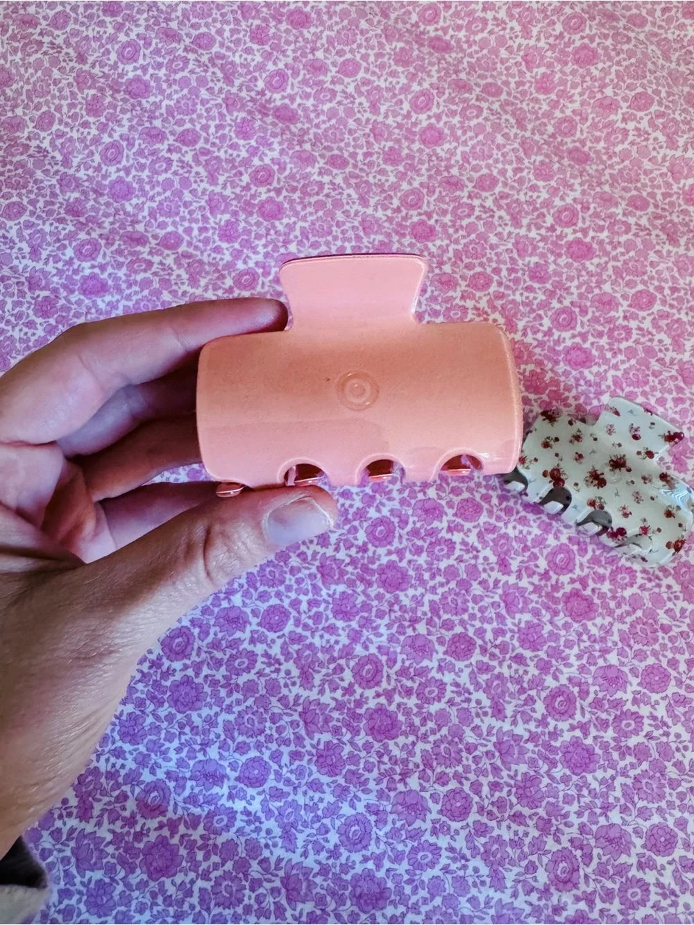 Parke Hair Clip Set